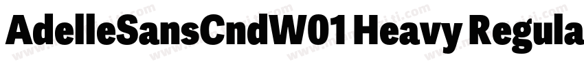 AdelleSansCndW01 Heavy Regular字体转换